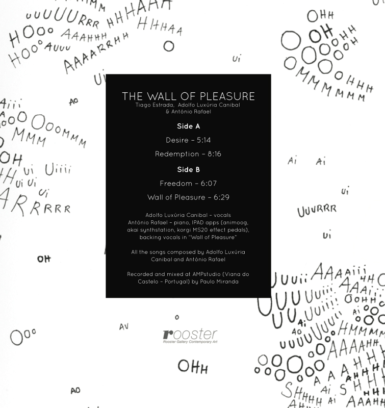 Estilhacos - The Wall of Pleasure - 2013 (Vinyl)